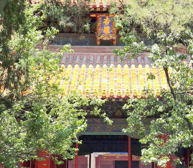 2026年為什么還有很多年輕人對(duì)“不值錢(qián)”的上海戶